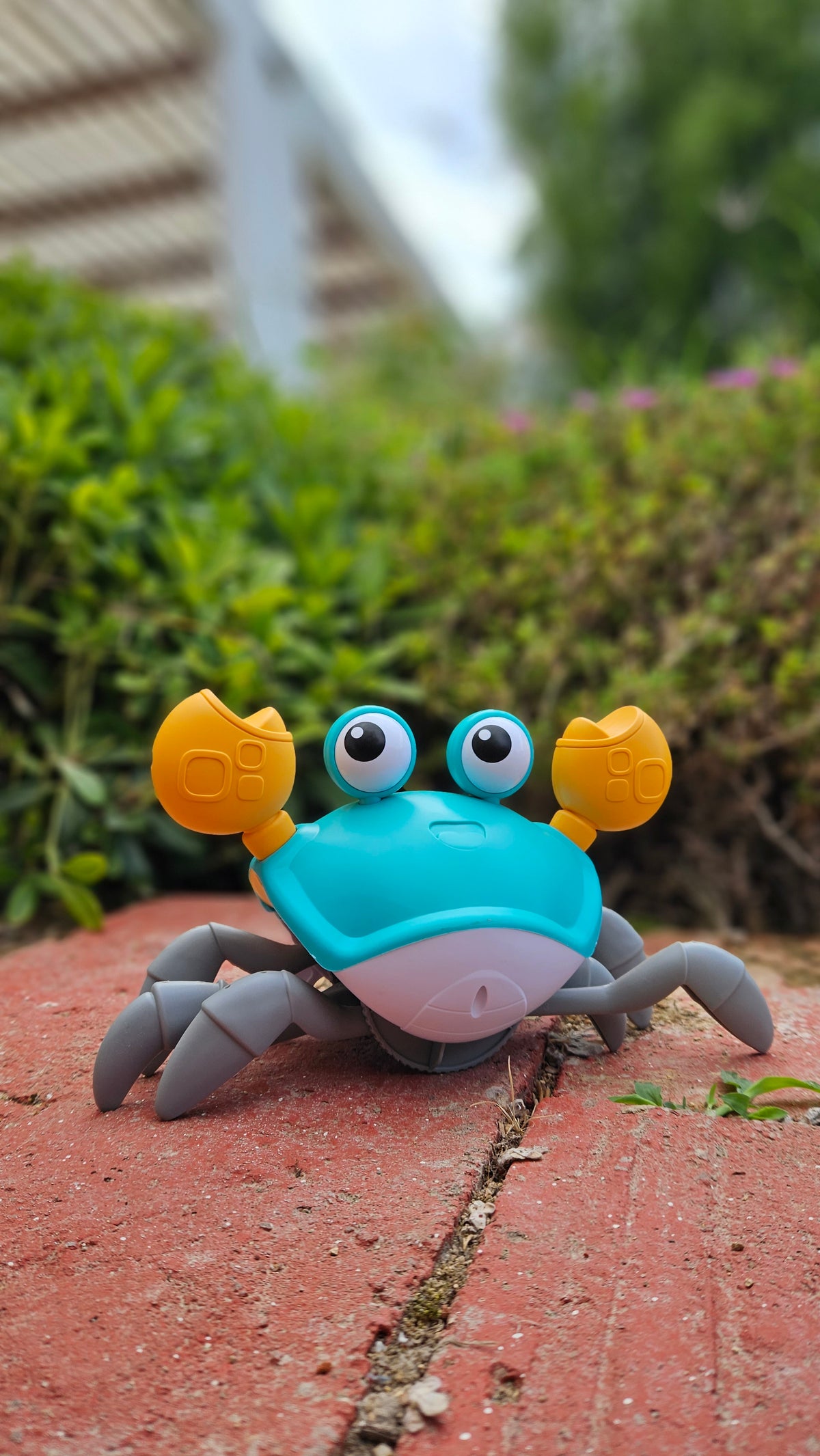 Cangrejo Escapista