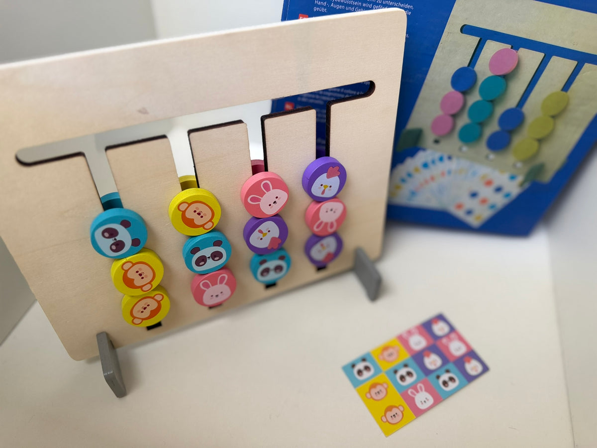 Juego de Lógica de Madera